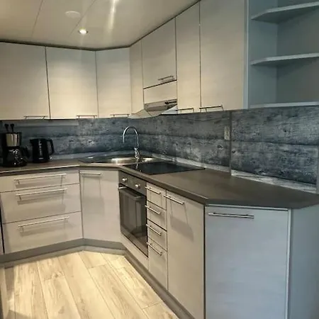 Holiday home Leviki Levi